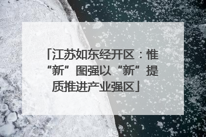 江苏如东经开区：惟“新”图强以“新”提质推进产业强区