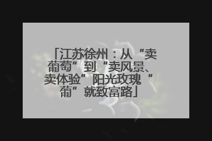 江苏徐州：从“卖葡萄”到“卖风景、卖体验”阳光玫瑰“葡”就致富路