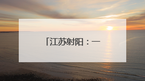 江苏射阳：一片桑叶里的乡村共富密码