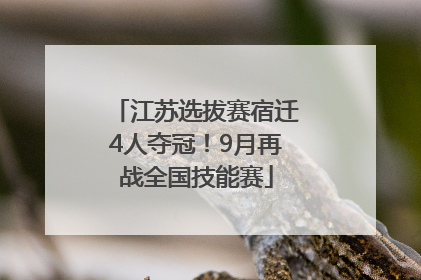 江苏选拔赛宿迁4人夺冠！9月再战全国技能赛