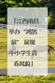 江西南昌举办“鸿鹄展” 展现中小学生青春风貌