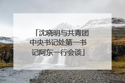 沈晓明与共青团中央书记处第一书记阿东一行会谈