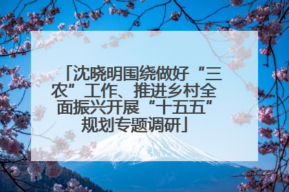 沈晓明围绕做好“三农”工作、推进乡村全面振兴开展“十五五”规划专题调研