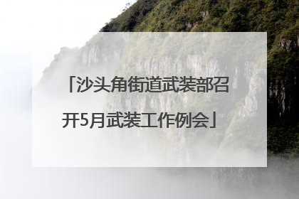 沙头角街道武装部召开5月武装工作例会
