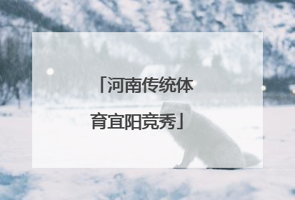 河南传统体育宜阳竞秀