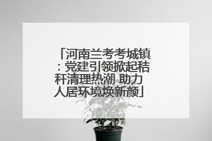 河南兰考考城镇：党建引领掀起秸秆清理热潮 助力人居环境焕新颜