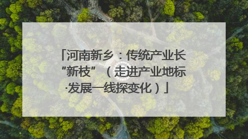 河南新乡：传统产业长“新枝”（走进产业地标·发展一线探变化）