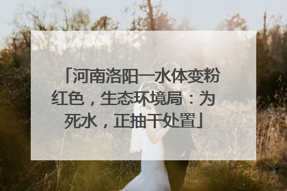 河南洛阳一水体变粉红色，生态环境局：为死水，正抽干处置