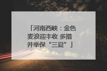 河南西峡：金色麦浪迎丰收 多措并举保“三夏”