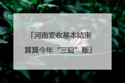 河南麦收基本结束 算算今年“三夏”账