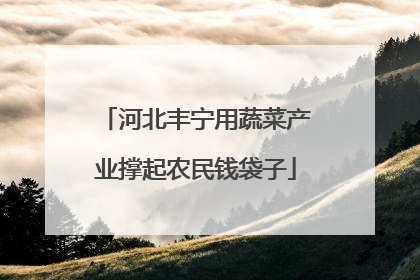 河北丰宁用蔬菜产业撑起农民钱袋子