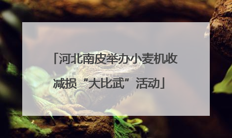 河北南皮举办小麦机收减损“大比武”活动
