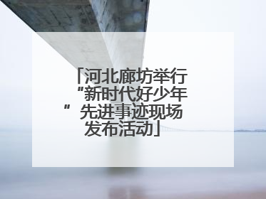 河北廊坊举行“新时代好少年”先进事迹现场发布活动