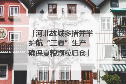 河北故城多措并举护航“三夏”生产 确保夏粮颗粒归仓