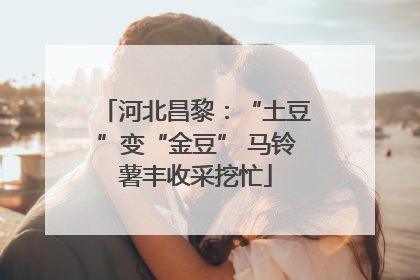 河北昌黎：“土豆”变“金豆” 马铃薯丰收采挖忙