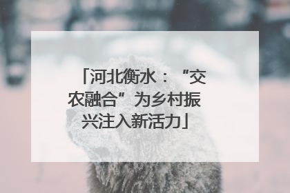 河北衡水：“交农融合”为乡村振兴注入新活力
