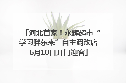 河北首家！永辉超市“学习胖东来”自主调改店6月10日开门迎客