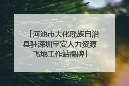 河池市大化瑶族自治县驻深圳宝安人力资源飞地工作站揭牌