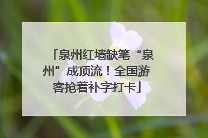 泉州红墙缺笔“泉州”成顶流！全国游客抢着补字打卡