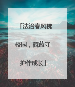 法治春风拂校园，藏蓝守护伴成长