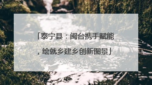 泰宁县：闽台携手赋能，绘就乡建乡创新图景