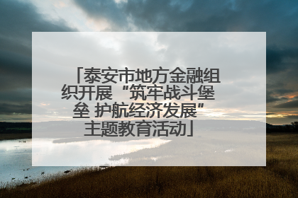 泰安市地方金融组织开展“筑牢战斗堡垒 护航经济发展”主题教育活动