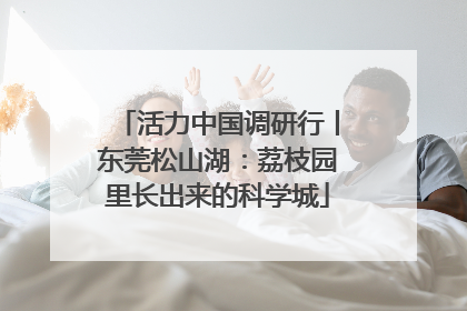 活力中国调研行丨东莞松山湖：荔枝园里长出来的科学城
