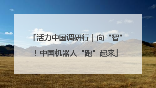 活力中国调研行｜向“智”！中国机器人“跑”起来