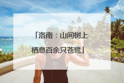 洛南：山间树上栖息百余只苍鹭