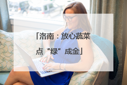 洛南：放心蔬菜点“绿”成金