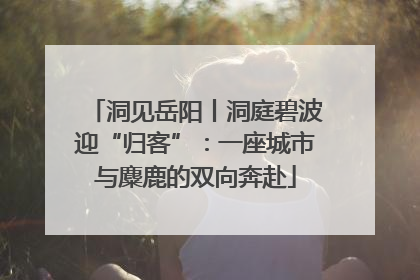 洞见岳阳丨洞庭碧波迎“归客”：一座城市与麋鹿的双向奔赴
