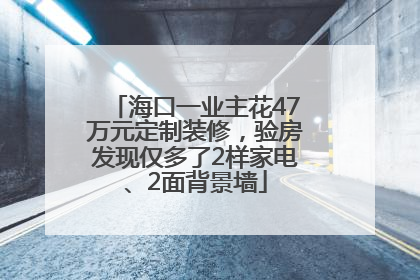 海口一业主花47万元定制装修，验房发现仅多了2样家电、2面背景墙