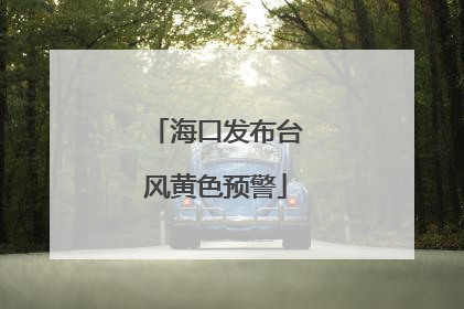 海口发布台风黄色预警