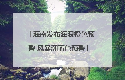 海南发布海浪橙色预警 风暴潮蓝色预警