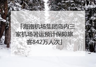 海南机场集团岛内三家机场暑运预计保障旅客842万人次