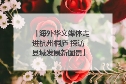 海外华文媒体走进杭州桐庐 探访县域发展新图景