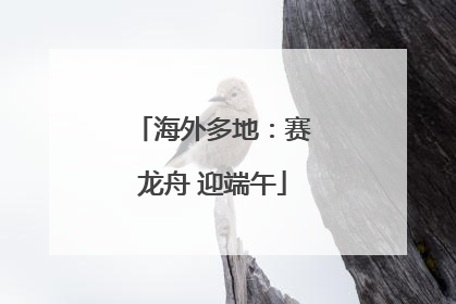海外多地：赛龙舟 迎端午