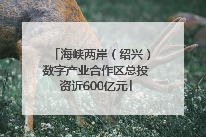 海峡两岸（绍兴）数字产业合作区总投资近600亿元