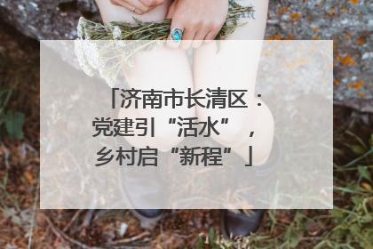 济南市长清区：党建引“活水”，乡村启“新程”