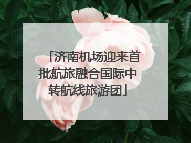 济南机场迎来首批航旅融合国际中转航线旅游团