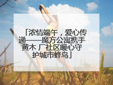 浓情端午，爱心传递——魔方公寓携手黄木 厂社区暖心守护城市蜂鸟