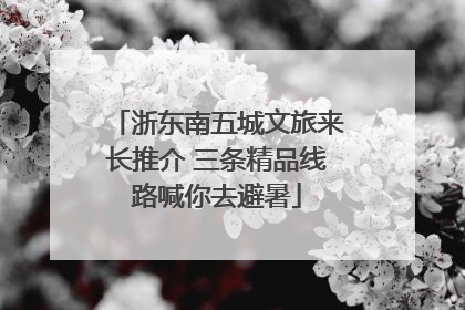 浙东南五城文旅来长推介 三条精品线路喊你去避暑