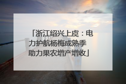 浙江绍兴上虞：电力护航杨梅成熟季 助力果农增产增收