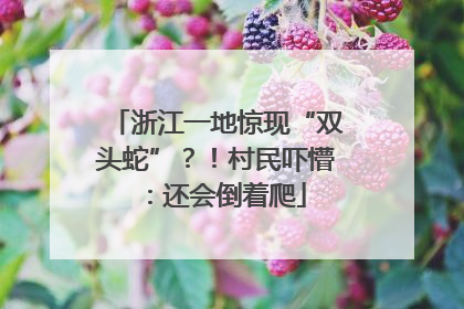 浙江一地惊现“双头蛇”？！村民吓懵：还会倒着爬