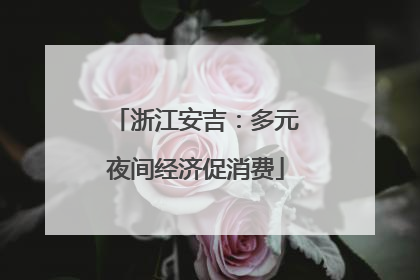 浙江安吉：多元夜间经济促消费