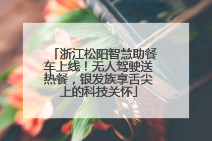 浙江松阳智慧助餐车上线！无人驾驶送热餐，银发族享舌尖上的科技关怀