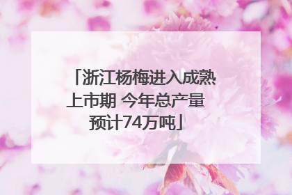 浙江杨梅进入成熟上市期 今年总产量预计74万吨