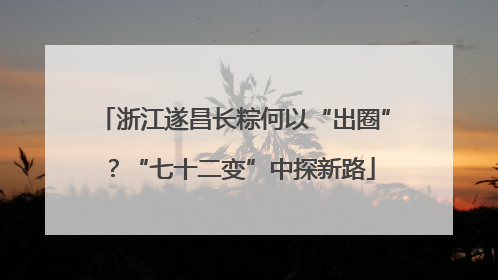 浙江遂昌长粽何以“出圈”？“七十二变”中探新路