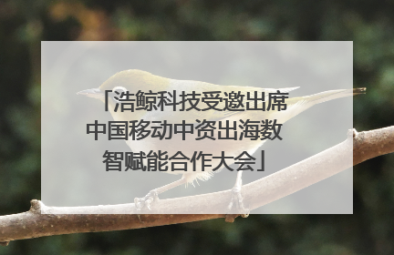 浩鲸科技受邀出席中国移动中资出海数智赋能合作大会
