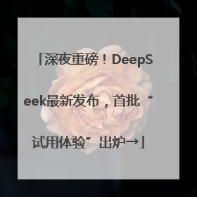 深夜重磅！DeepSeek最新发布，首批“试用体验”出炉→